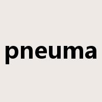 pneuma是什么意思