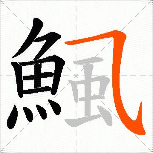 鯴