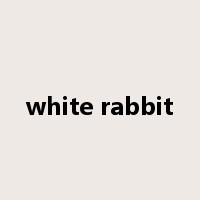 white rabbit是什么意思