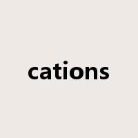 cations是什么意思