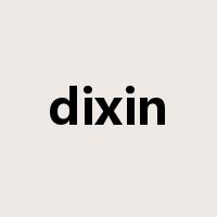 dixin是什么意思