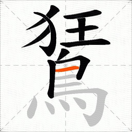 鵟