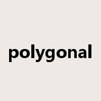 polygonal是什么意思
