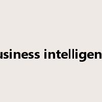 business intelligence是什么意思