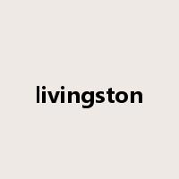 livingston是什么意思