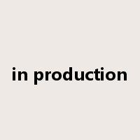 in production是什么意思