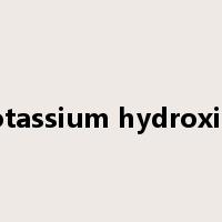 potassium hydroxide是什么意思