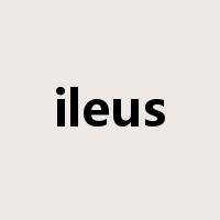 ileus是什么意思