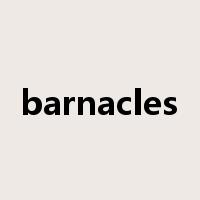 barnacles是什么意思