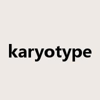 karyotype是什么意思