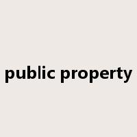 public property是什么意思