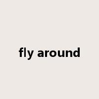 fly around是什么意思