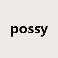 possy是什么意思