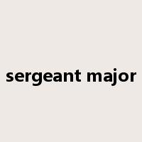 sergeant major是什么意思