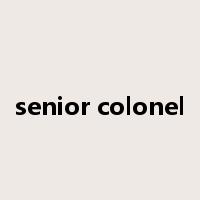 senior colonel是什么意思