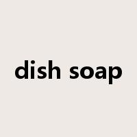 dish soap是什么意思