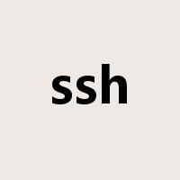 ssh是什么意思