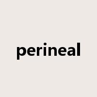 perineal是什么意思