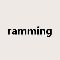 ramming是什么意思