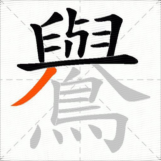 鸒