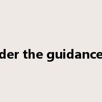 under the guidance of是什么意思
