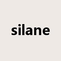 silane是什么意思