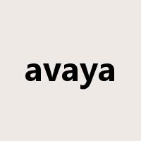 avaya是什么意思