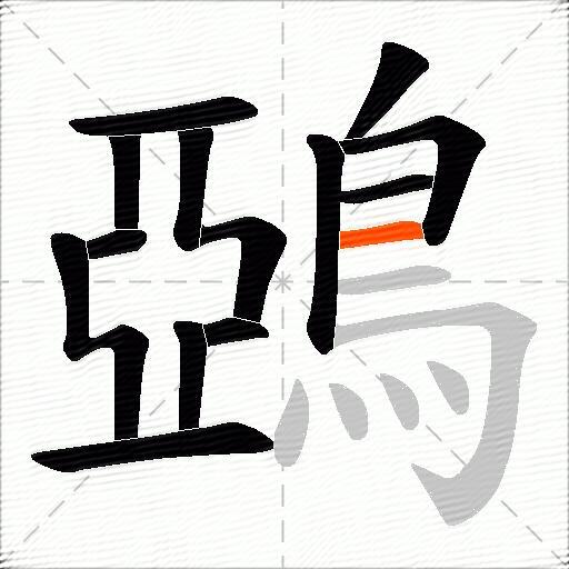 鵶