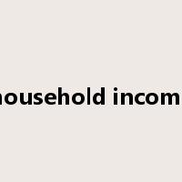 household income是什么意思