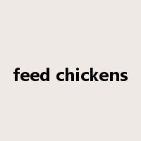 feed chickens是什么意思