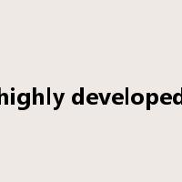 highly developed是什么意思