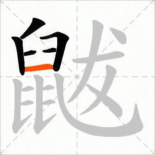 鼥