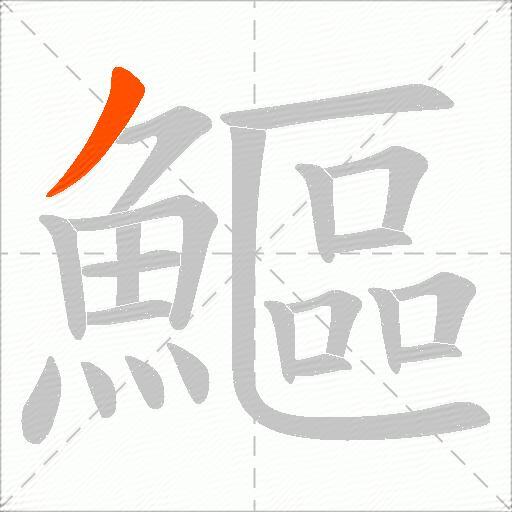 鰸