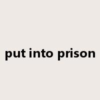 put into prison是什么意思