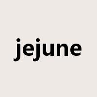 jejune是什么意思