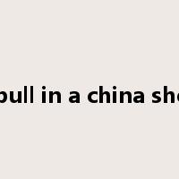 a bull in a china shop是什么意思