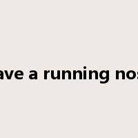 have a running nose是什么意思