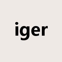iger是什么意思