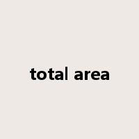 total area是什么意思