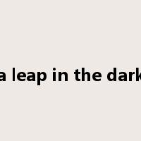 a leap in the dark是什么意思