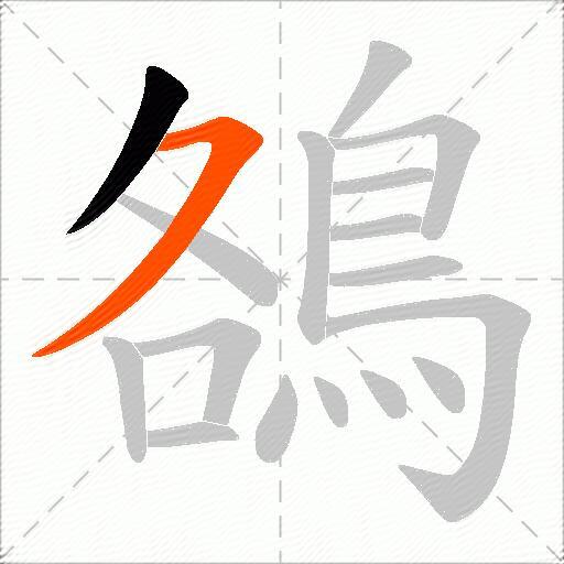 鵅