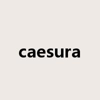 caesura是什么意思
