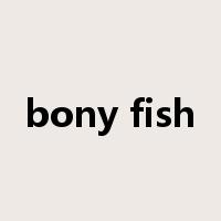 bony fish是什么意思