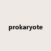 prokaryote是什么意思