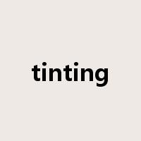 tinting是什么意思