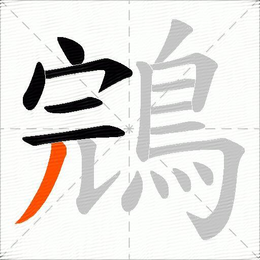 鵍