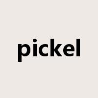 pickel是什么意思