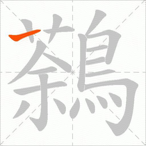 鷋