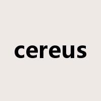 cereus是什么意思