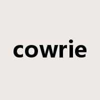 cowrie是什么意思